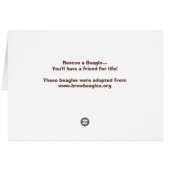 Beagle Pups Lounging Cards (Back Horizontal)