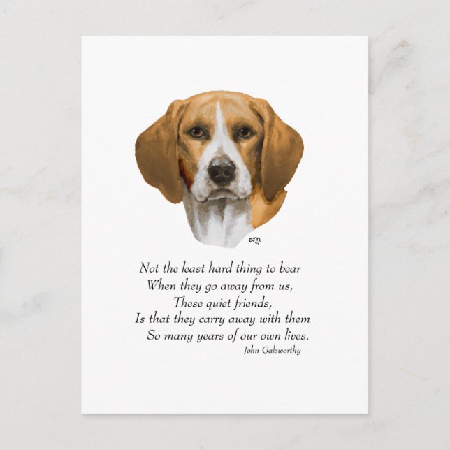 Beagle Rainbow Bridge Postcard (Front)