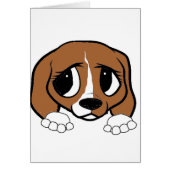 beagle red white peeking (Front)