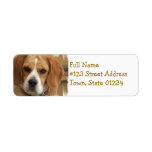 Beagle Return Address Label
