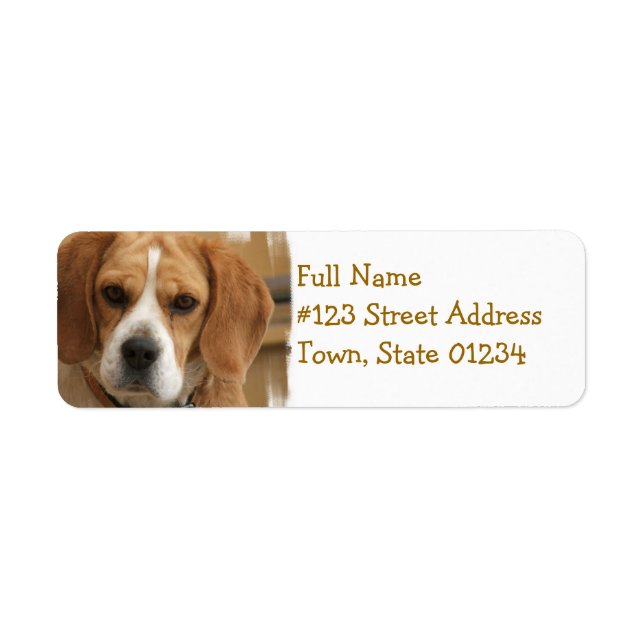 Beagle Return Address Label (Front)