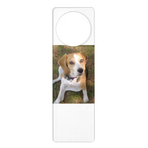 Beagle sitting 2 door hanger
