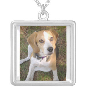 Beagle sitting 2 silver plated necklace