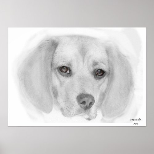 Beagle Sketch Poster