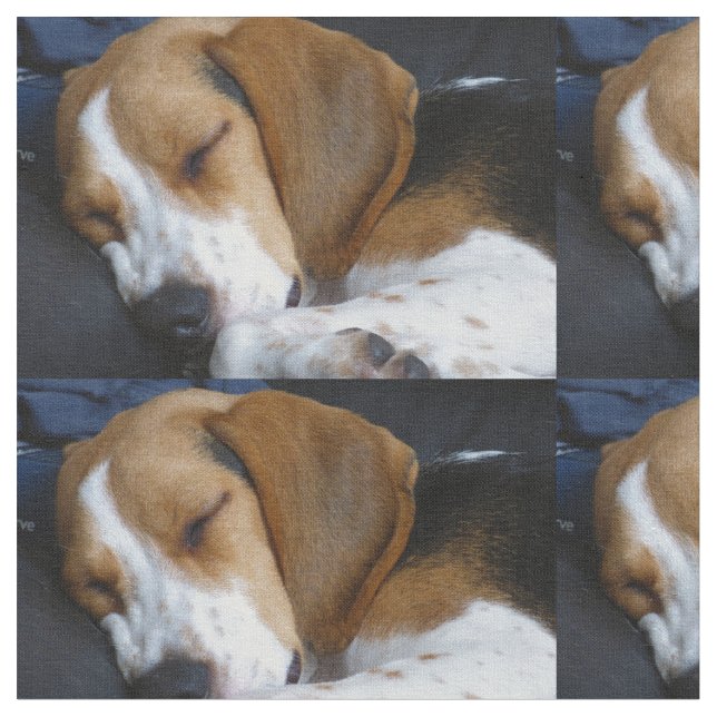 beagle sleeping fabric (Close Up)