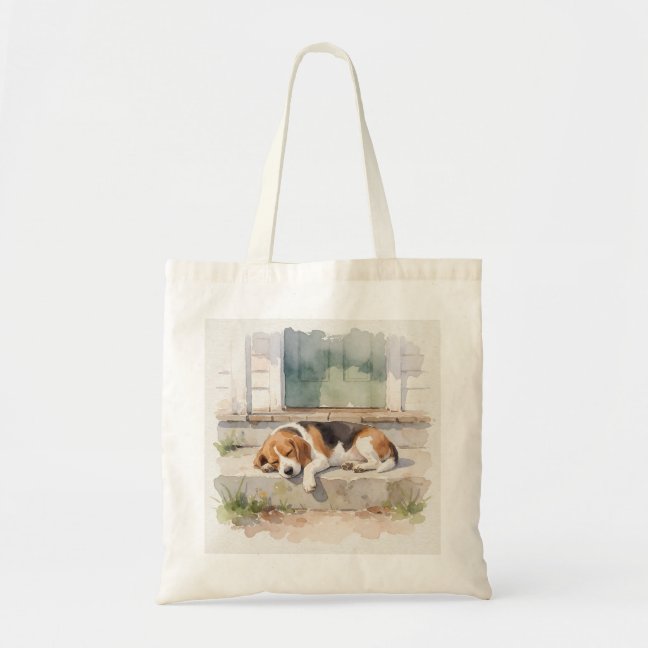 Beagle Collection — preview