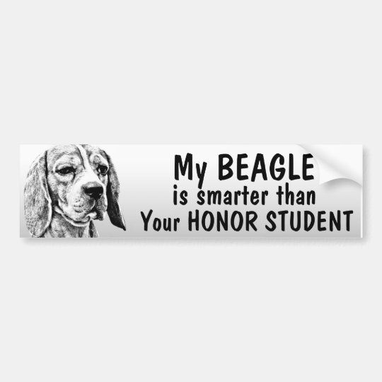 Beagle Smarter than honor student funny Bumper Sticker
