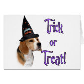 Beagle Trick (Front Horizontal)