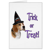 Beagle Trick (Front)