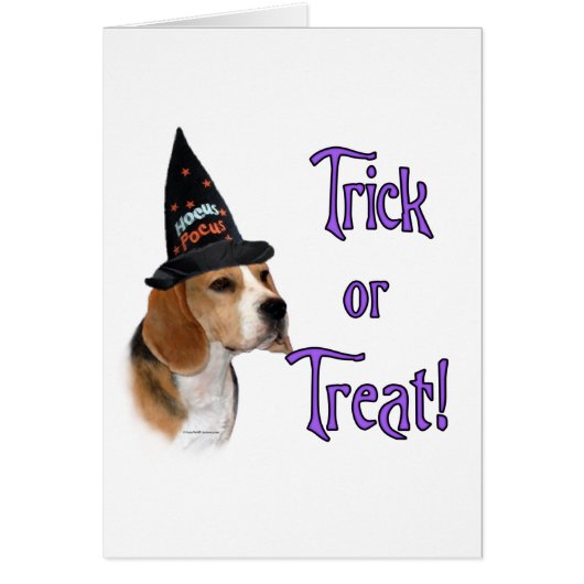 Beagle Trick Cards (Front)