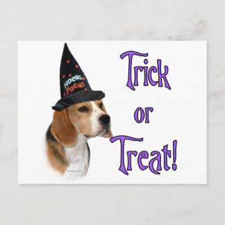 Beagle Trick Postcard