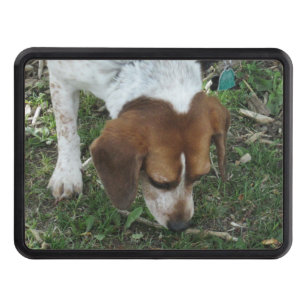 Beagle Truck Hitch Cover