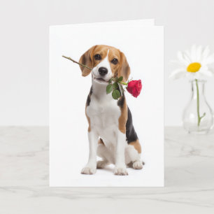 Beagle Valentine – Loyal Love with a Rose Card
