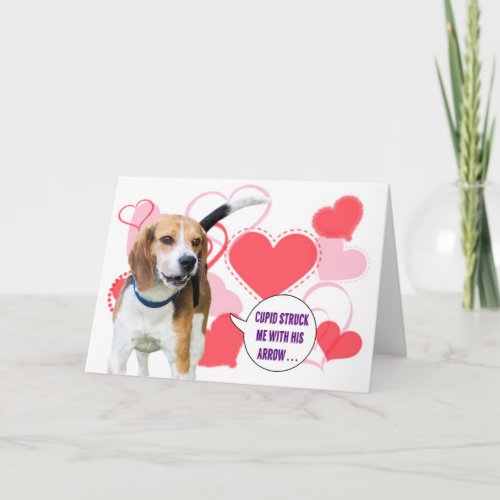 Beagle Valentines Day Card