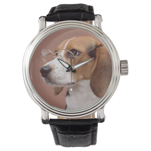 Beagle Watch