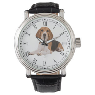 Beagle Watch