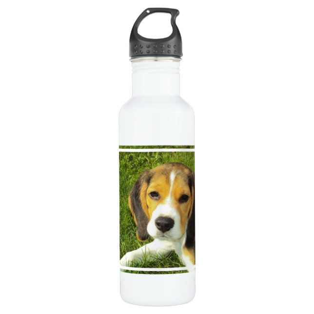 Beagle Water Bottle (Front)