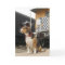 Beagle Welcome Home Greeting Card - Train Depot