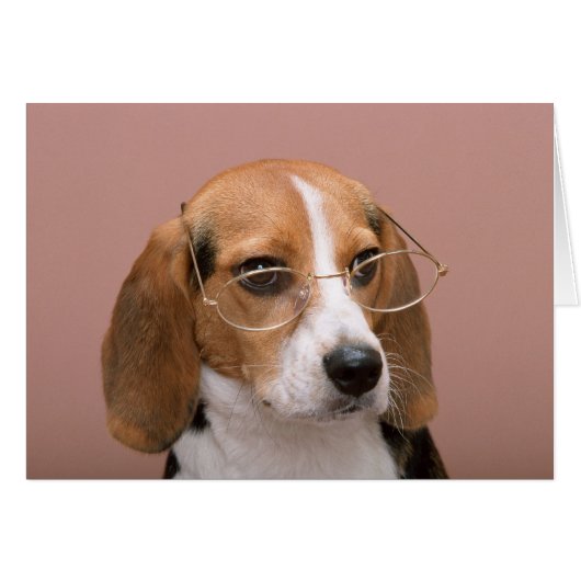 Beagle with Glasses Cards (Front Horizontal)