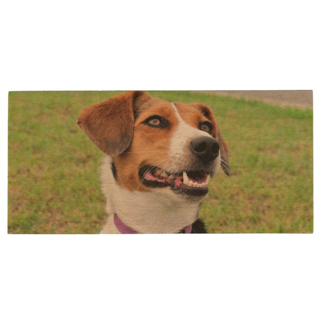 Beagle Wood Flash Drive (Back)