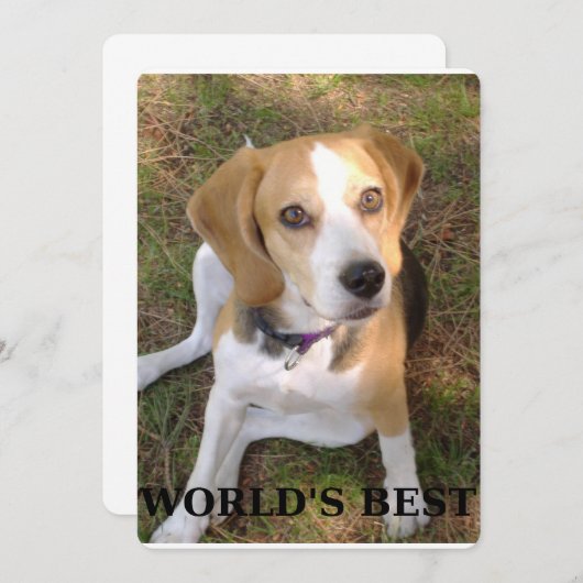 beagle worlds best (Front/Back)