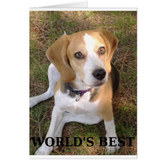 beagle worlds best cards (Front)