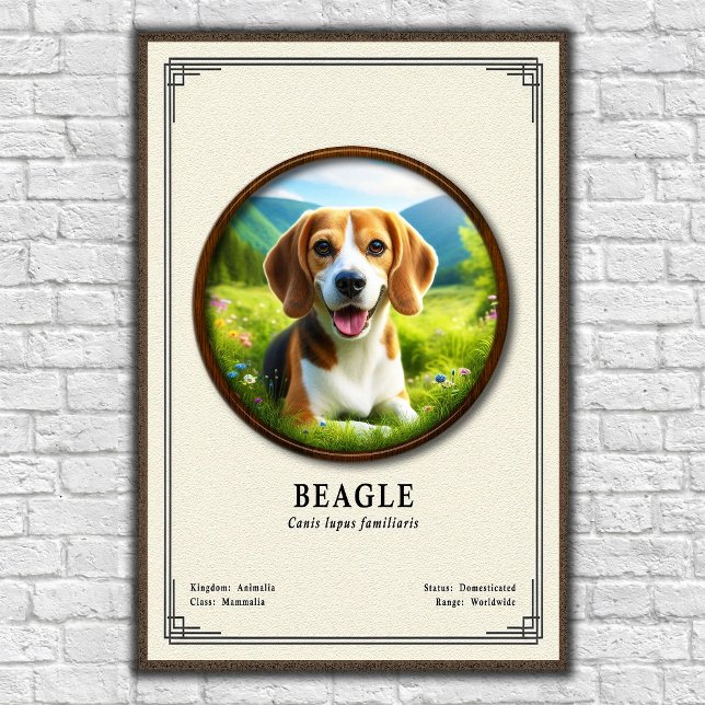 Beagle Zoology Series Poster (Creator Uploaded)
