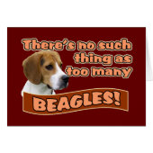 BEAGLES (Front Horizontal)