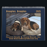 Beagles 2025 wall calendar<br><div class="desc">2025 wall calendar with beautiful photos of beagles, in support of Houston Beagle and Hound Rescue Inc.</div>