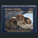 Beagles 2025 Wall Calendar<br><div class="desc">2025 wall calendar with beautiful photos of beagles, in support of Houston Beagle and Hound Rescue Inc.</div>