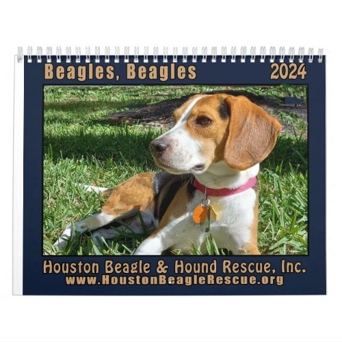 Beagles Beagles 2024 Wall Calendar