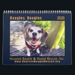 Beagles Beagles Wall calendar 2026<br><div class="desc">Wall calendar 2026 with adorable beagles photos</div>
