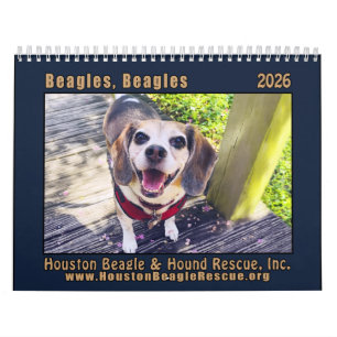 Beagles Beagles Wall calendar 2026