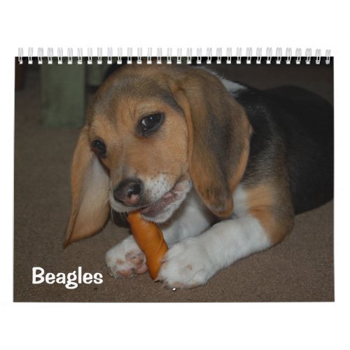 Beagles Calendar