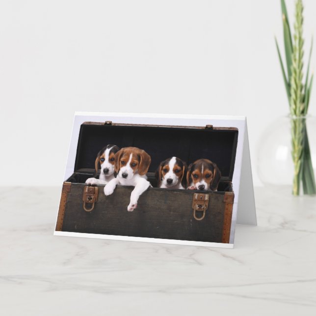 Beagles Card (Front)