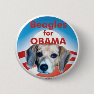 Beagles for Obama Button