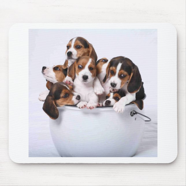Beagles in Bucket Mouse Pad (Front)