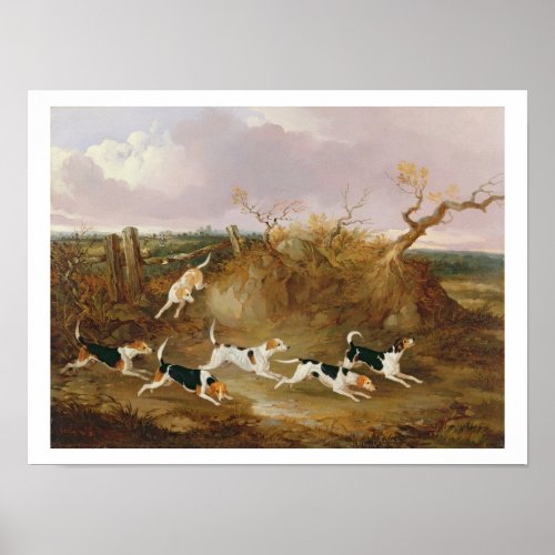 Beagles in Full Cry 1845 oil on canvas Poster