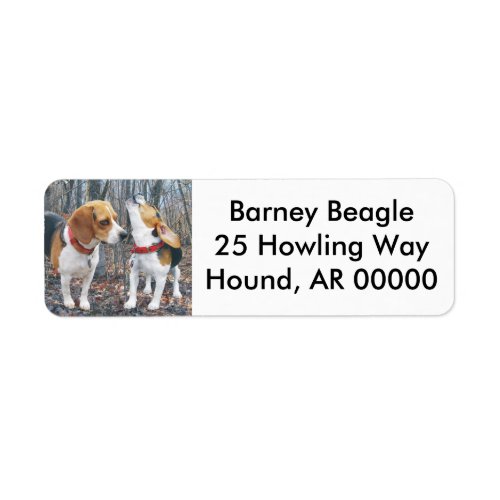 Beagles In The Woods Label