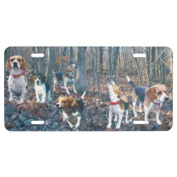 Beagles In The Woods License Plate by WackemArt at Zazzle