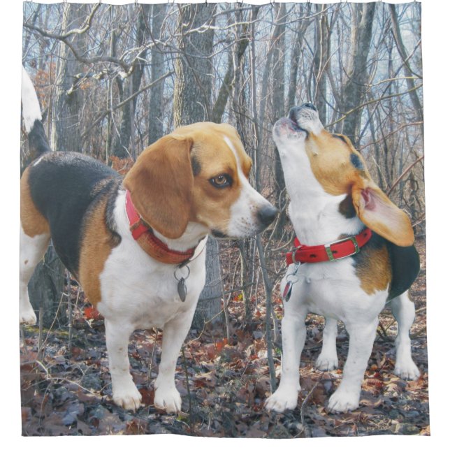 Beagles in the Woods Shower Curtain (Front)