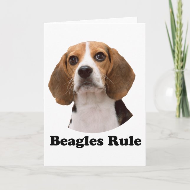 Beagles Rule Card (Front)