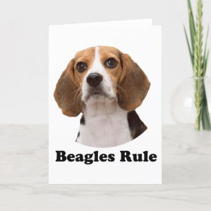 Beagles Rule Card