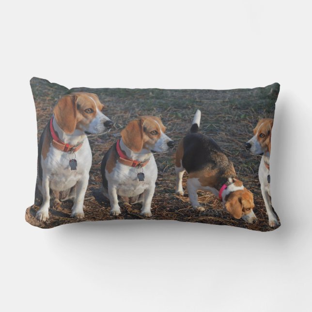 Beagles The More The Merrier Beagle Lumbar Pillow (Front)