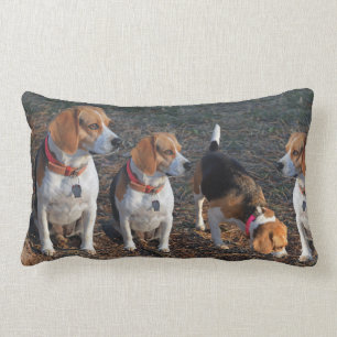 Beagles The More The Merrier Beagle Lumbar Pillow