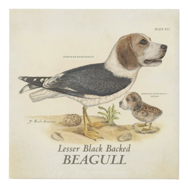 Beagull Canvas Print (Front)