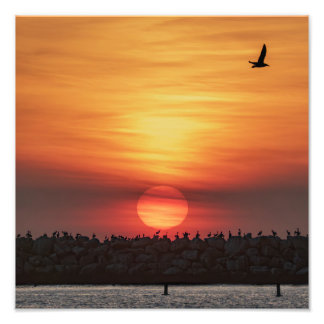 Beaitiful Sunset Colors - Marina Del Rey, CA Photo Print