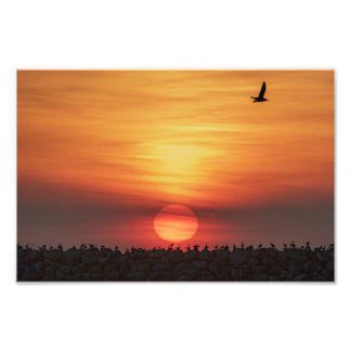 Beaitiful Sunset Colors - Marina Del Rey, CA Photo Print