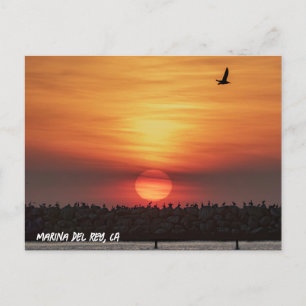 Beaitiful Sunset Colors - Marina Del Rey, CA Postcard