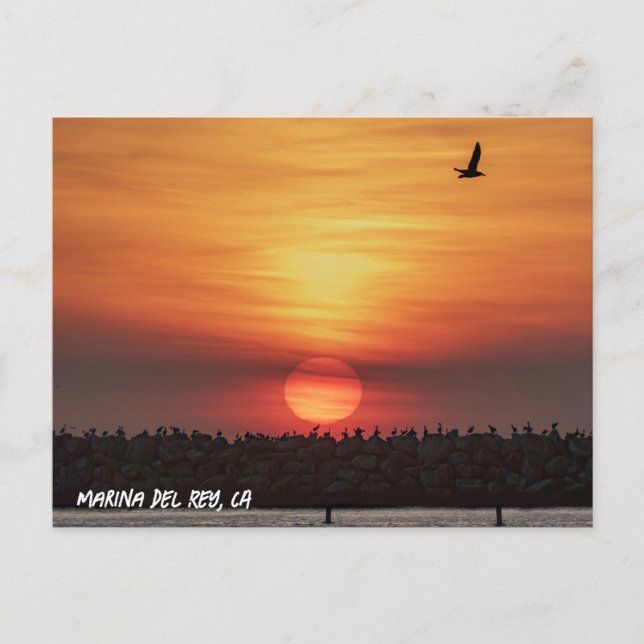 Beaitiful Sunset Colors - Marina Del Rey, CA  Postcard (Front)